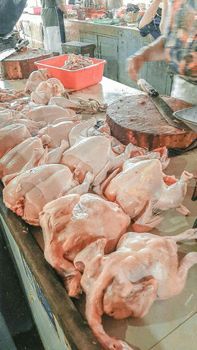 Fresh frozen whole chicken, Halal certified, 0.8-1 kg, including head, wings and feet - PLANETE COMMERCE - France