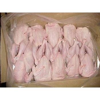  Best Quality Frozen Chicken Drumsticks/Whole for Export Worldwide - GOLDEN STAR BV - South Africa