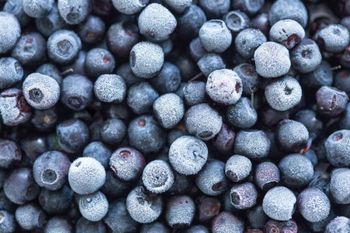 Frozen Blueberry Whole IQF - MEME GROUP COMPANY LTD - Cameroon