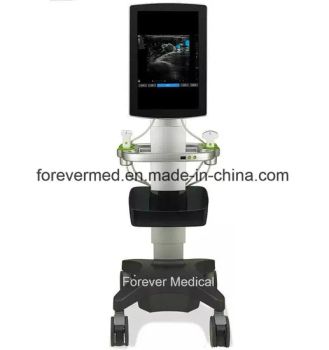 Ce Approved Standard Type Anesthesia Ultrasound Machines 19 Inch Touch Screen (YJ-AU80) - Henan Forever Medical Co., Ltd. - China
