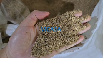 Brewer Dried Grains from Thuy Brewer Dried Grains - Thuy - Vietnam