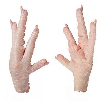 Wholesale Halal Chicken Feet / Frozen Chicken Paws Brazil / Fresh Chicken Wings and Feet and Paws - CPW TRADE LTD - United Kingdom