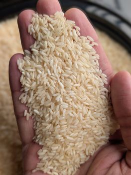 Organic Sona Masoori Rice - Premium quality from Pansuriya Global Private Limited Organic Sona Masoori Rice - Premium quality - Pansuriya Global Private Limited - India