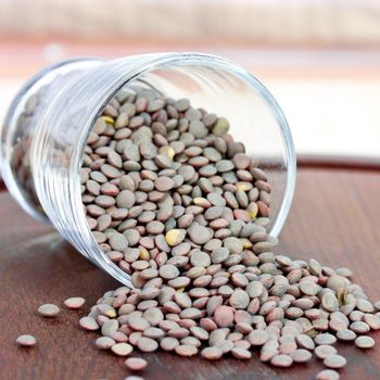 Fresh Brown Lentils Packed With Care Brown Lentils Ensuring Top Quality And Optimal Nutrition For Global Traders - malter group - Tanzania