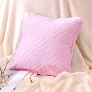 Wholesale 40X40cm Cushions Throw Pillows for Indoor Bed Couch - Hangzhou Winde Home Furnishing Co., Ltd. - China