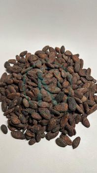Fermented Cocoa Beans from Radenmas Internusa Group Fermented Cocoa Beans - Radenmas Internusa Group - Indonesia