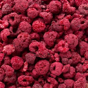 Frozen Raspberries Origin Europe Grade A, High Quality - NUTRIDIET LDA - United Kingdom