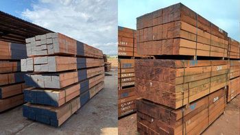 Hot Sale Douglas-fir ,Cedar,Spruce,Pine Timber Construction Timber Solid Wood Boards Sauna Wood Lumber Timber - Smart Agri GmbH - Germany