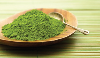 Green Tea Extract (Camellia sinensis) Shelf Life 24 Months Max. Moisture (%) 5% Antioxidant Properties High Anti-aging Properties Present - Fiedel Trading & Exim Pvt. Ltd. - India