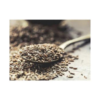 Cumin Seeds (Jeera) Whole 99%+ Purity Food Grade Premium Export Quality Aromatic Culinary Industrial Use West Bengal Sunari Wholesale High Quality Dried Jeera Cumin Seeds 100% Purity Machine Cleaned India Origin Agriculture Products - GLOBOTO TRADE BRASIL LTDA - Brazil