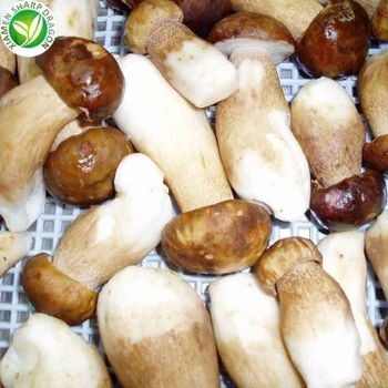 Supplier price IQF frozen or dried porcini mushrooms and boletus edulis - Xiamen Sharp Dragon International Trading Co.,Ltd - China