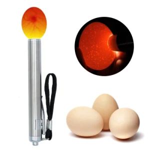 Incubator Egg Tester Egg Candling Lamp LED Super Cold Equipment Incubation Tool for Chicken Quail Eggs Incubation Tester Lamp - Shine Peak Group (HK) Limited - China