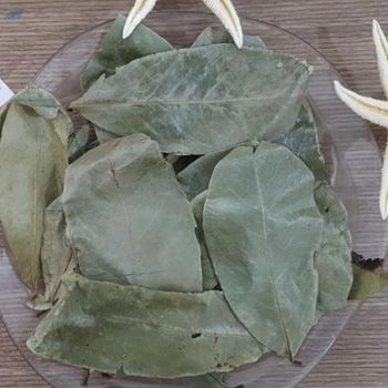 Dried Soursop Leaf -  Blue Lotus Exim Co., Ltd.  - Vietnam