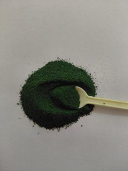 Spirulina - Green kivvi - India