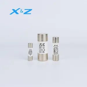 High-Performance 500V 50A Cylindrical Fuse Link for Electrical Safety - Wenzhou Dunpai Electrical Co., Ltd - China