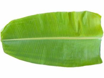 Banana leaf from SmartNest Banana leaf – product photo, Banana Leaves products found from trusted suppliers, wholesalers, manufacturers & exporters Listing