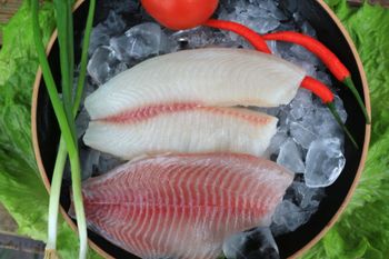 Premium tilapia fillet - Lyntta International Co., Ltd - China
