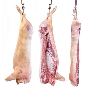 Frozen Buffalo Boneless Meat Beef Frozen Beef Carcass/Frozen Beef Cuts from N.G westen holding B.V Frozen Buffalo Boneless Meat Beef Frozen Beef Carcass/Frozen Beef Cuts - N.G westen holding B.V - Netherlands