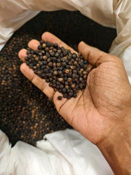 Premium Kerala Black Pepper Whole – 500 GL / 550 GL - Mac Global - India