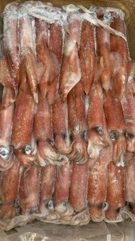 Frozen Calamari Tubes And Tentacles Selected Marine Catch For International Buyers With Reliable Frozen Storage Quality - TOSOH INTERNATIONAL - South Africa