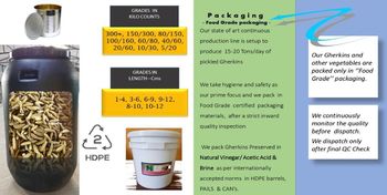 Gherkins in brine, acidulated with acetic acid solution for further processing in  FOOD GRADE HDPE drums, 1 FCL - INNOPRO TRADE SOURCE OPC PVT LTD - India