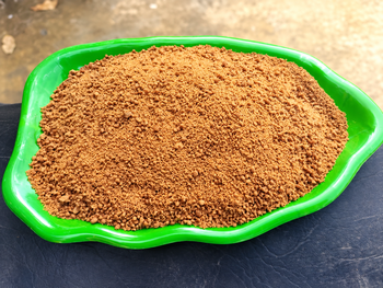 Sugarcane Jaggery - BASANT GLOBAL EXIM - India