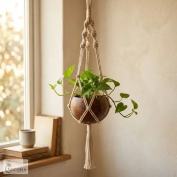Handmade Coconut Shell Hanging Planter | Eco-Friendly Macrame Plant Holder - ASR Exports  - India