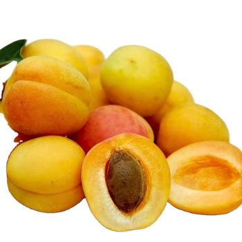 Special Hot Selling Selected ones Quick Frozen High quality Halves Apricot frozen Fruit - Qingdao Farm Keeper Supply Chain Management Co., Ltd. - China