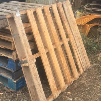 Industrial Grade 1200 X 800 EPAL Wooden Euro Pallet New Double Faced Pine 4 Way Access Pallet For Retail Supply Chain And Export Packaging Double Faced Wood Storage Technology & Packaging 4-Way Entry - wood traders - Poland