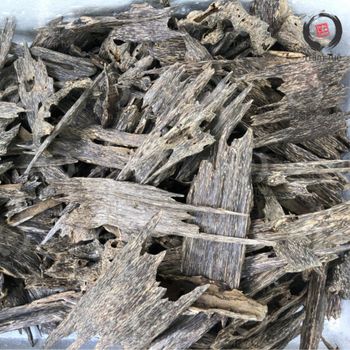Hot Sale Tram Tue Oud Oudy Wood Chips creating by ant from Vietnam for making perfume Oudh Incense - TRUC LAM QUAN TUE JOINT STOCK COMPANY - Vietnam