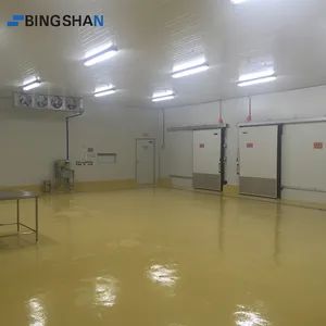 Freezer Equipments Refrigerators Flowers Used Deep Freezers Sale Cold Storage Room for Food Processing Plant - Dalian Bingshan Engineering & Trading Co., Ltd. - China