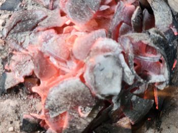 Coconut shell charcoal - GAN LTD - Nigeria