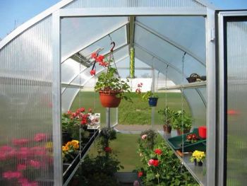 Amazing Mini Garden Glass Greenhouses Flowers for Sale Span Single Layer Single Size Customize Trademark yutuo Location - Henan Yutuo Agricultural Technology Co., Ltd - China
