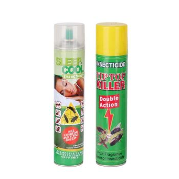 Insecticide Spray Roach Fly Killer 3Y Effect 400ml Can 24Cans/CTN Both IndoorOutdoor - Guangdong Dream Fine Daily Chemical Co., Ltd. - China