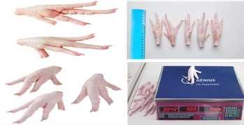 Chicken Paws Frozen - Niobium Export LLC - United States