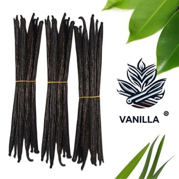 Vanilla bean indonesia Origin Indonesia Natural Extract Yes Packaging Vacuum plastic Type Planifolia & Tajiti Product Type Vanilla Beans - Baharat explore nusantara - Indonesia
