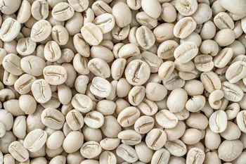 Clean coffey - Three Brothers Import and Export - Ethiopia