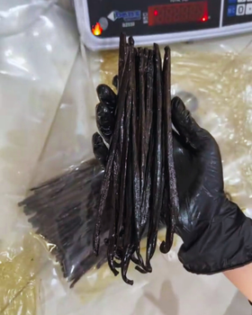 Vanilla Beans Gourmet Form Whole Pods Features Organic Delivery Form Other Origin Papua New Guinea - PT INSUS FORTUNATE TRADE - Indonesia