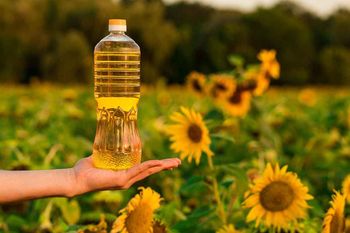 Bulk Sunflower Cooking Oil – Premium Refined 100% Pure Edible Vegetable Oil, Healthy, Food Grade, Wholesale & Export Supply, High-Quality Premium Packaging for the Food Industry - Nedvixs Company Limited - Kenya