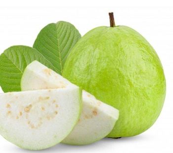Guava – product photo, Fresh Orange Fruit products found from trusted suppliers, wholesalers, manufacturers & exporters Listing