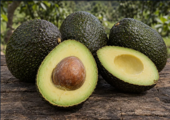 Premium Kenyan Hass Avocados – Fresh Export Quality from Olmerai Fresh Limited Premium Kenyan Hass Avocados – Fresh Export Quality – product photo, Coffee & Coffee Bean products found from trusted suppliers, wholesalers, manufacturers & exporters Listing
