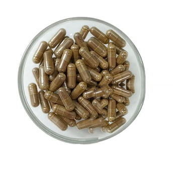 High Quality Mushroom Supplement Reishi Lions Mane Chaga Turkey Tail Maitake Shiitake Oyster Nootropic Mushroom Extract Complex - GNT Supplements LLC - China