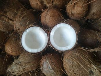 Semi husk cocount 🥥 – product photo, Semi Husked Coconuts products found from trusted suppliers, wholesalers, manufacturers & exporters Listing