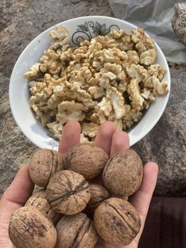Factory Low Price Wholesale Organic Shelled Walnuts - Sulfur-Free High Quality Plump Impurity-Free Healthy Food - PLANETE COMMERCE - France