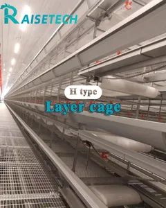 Durable Automatic Chicken Farm Tools with Long Service Life Features - Raisetech Co., Ltd. - China