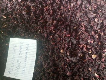 Dried Hibiscus flowers organic Sabdariffa - ALLNATURE ENTERPRISES - Nigeria