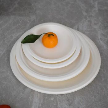 Biodegradable Compostable Disposable Tableware Dinner Plates Party Supplies - Xiamen Luckypack Paper Products Co., Limited - China