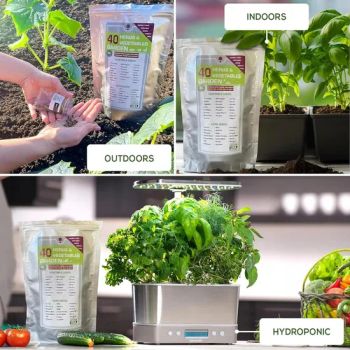 Marjoram Others Plant Fiber Planting Grow Bags Style Bag Origin China Capacity 1-31 Size Customized Shape Customized Application - Plant Fun ( Xiamen) Co., Ltd. - China