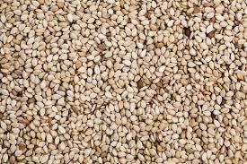 Sesame seeds – product photo, Raw Sesame Seeds products found from trusted suppliers, wholesalers, manufacturers & exporters Listing