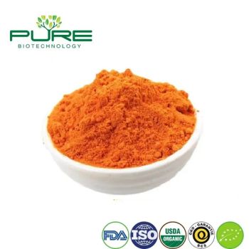 Premium Organic Goji Juice Powder for Instant Energy Boost and Vitality - Ningxia Pure Goji Biology Technology Co., Ltd. - China